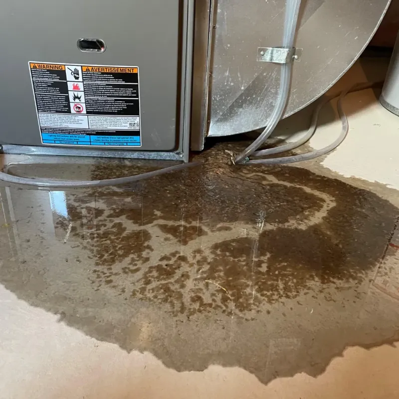 Appliance Leak Cleanup in Lancaster Mill, SC